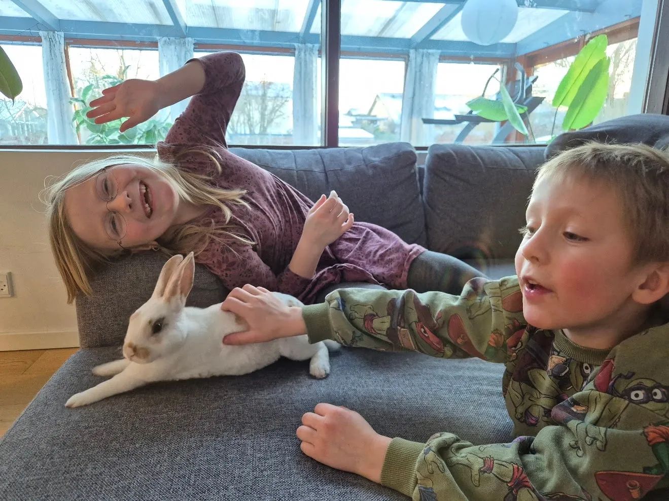 Olaf på sofaen, omringet af kaninfans